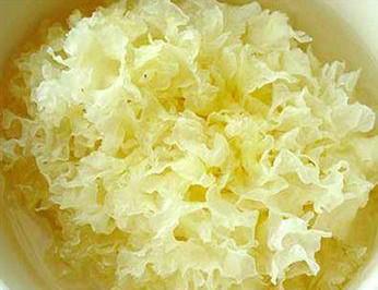 化妝品原料之銀耳提取物介紹